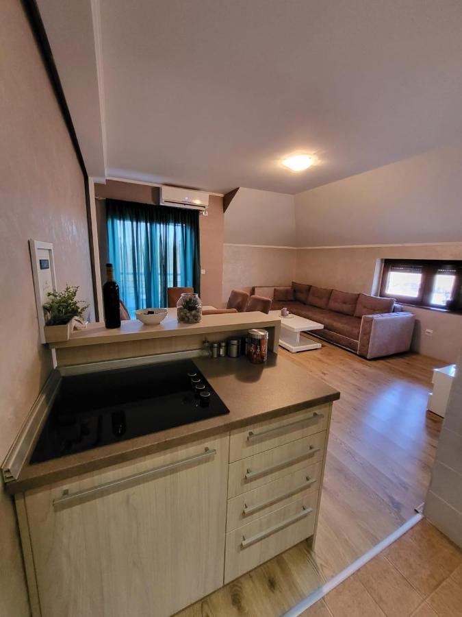 Apartman Crown Vrnjačka Banja Extérieur photo