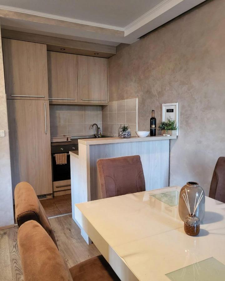 Apartman Crown Vrnjačka Banja Extérieur photo