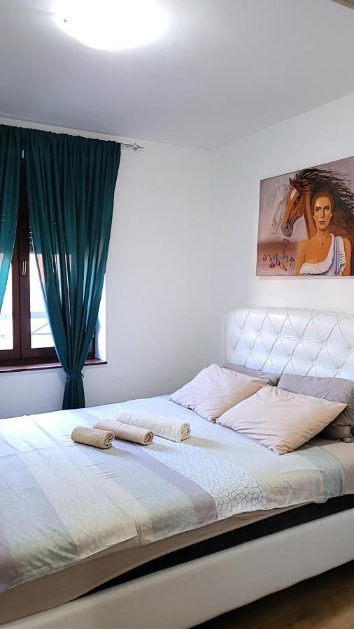 Apartman Crown Vrnjačka Banja Extérieur photo
