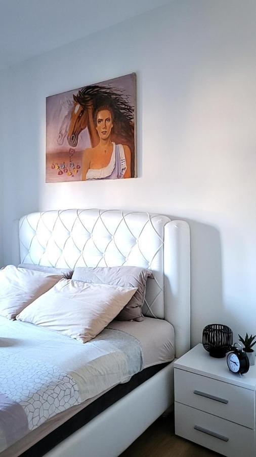 Apartman Crown Vrnjačka Banja Extérieur photo